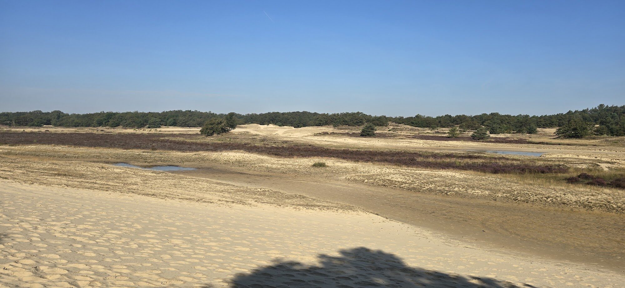 Weids stuifzandlandschap langs het Spiraalpad
